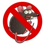 Rodent Insurance Coverage for your car in Kirkland, Washington