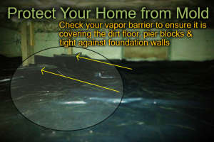How to Protect Your Home from Mold in Kirkland, WA