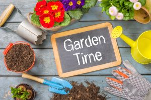 How to prepare a home garden in Kirkland, WA