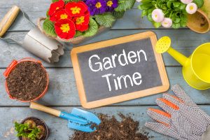 How to prepare a home garden in Kirkland, WA