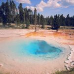 Top National Parks to Visit Each Year