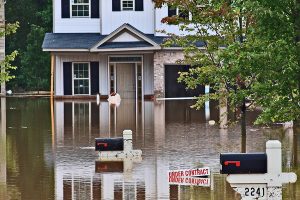 Flood Insurance in Kirkland, WA
