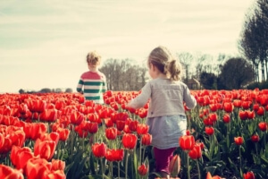 Spring Activities to Consider in Kirkland, WA