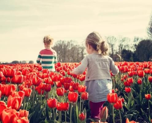 Spring Activities to Consider in Kirkland, WA
